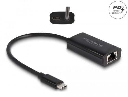 Delock Szürke USB Type-C  adapter tápellátó portos Gigabit LAN-hez 100 watt