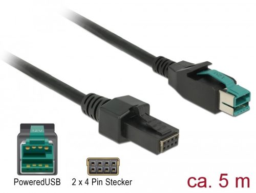 Delock PoweredUSB kábel apa 12 V > 2 x 4 tűs apa, 5 m, POS nyomtatókhoz és csatlakozókhoz