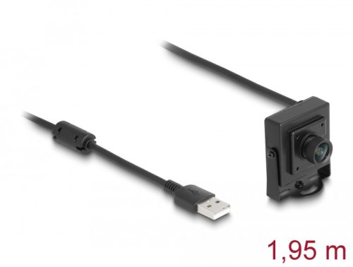 Delock USB 2.0 Kamera 2,1 megapixeles 100 fokos fixfókusz